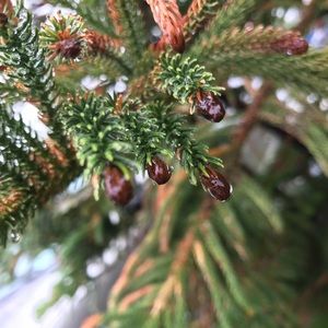 Meet your Posher, Ariana